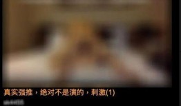 桃色视频高清在线观看,高清在线观看背后的真相与警示